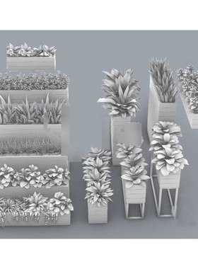 草地 绿色植物 室内盆景 犀牛建模rhino/C4D/3Dmax/maya模型obj