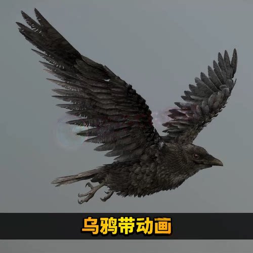 乌鸦带动画骨骼绑定飞行鸟类3D模型c4d源文件blender max三维obj