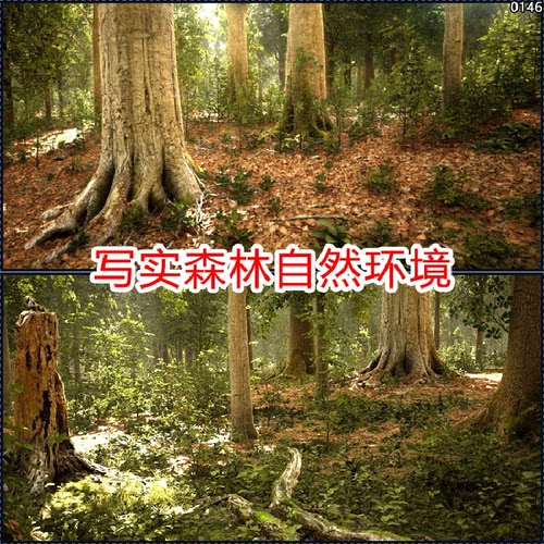 ue5/ue4写实森林场景素材树林植物自然植被森林树木虚幻5模型资产