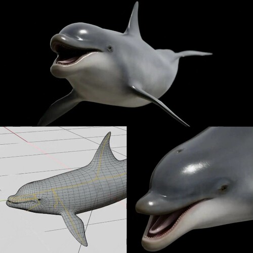 blender海洋哺乳动物海豚科可爱尖嘴海豚3D模型带骨骼绑定+动画