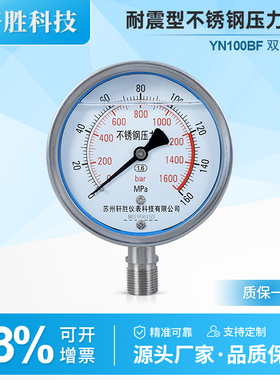 YN100BF 160MPa/1600bar 不锈钢抗震液压压力表 耐震不锈钢压力表