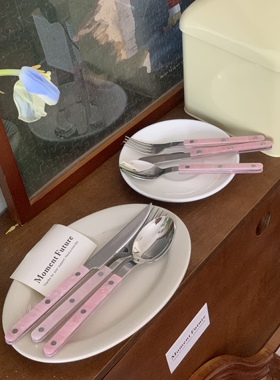 Moment Future刀叉勺餐具套装黄油刀304不锈钢粉色贝壳亚克力韩系