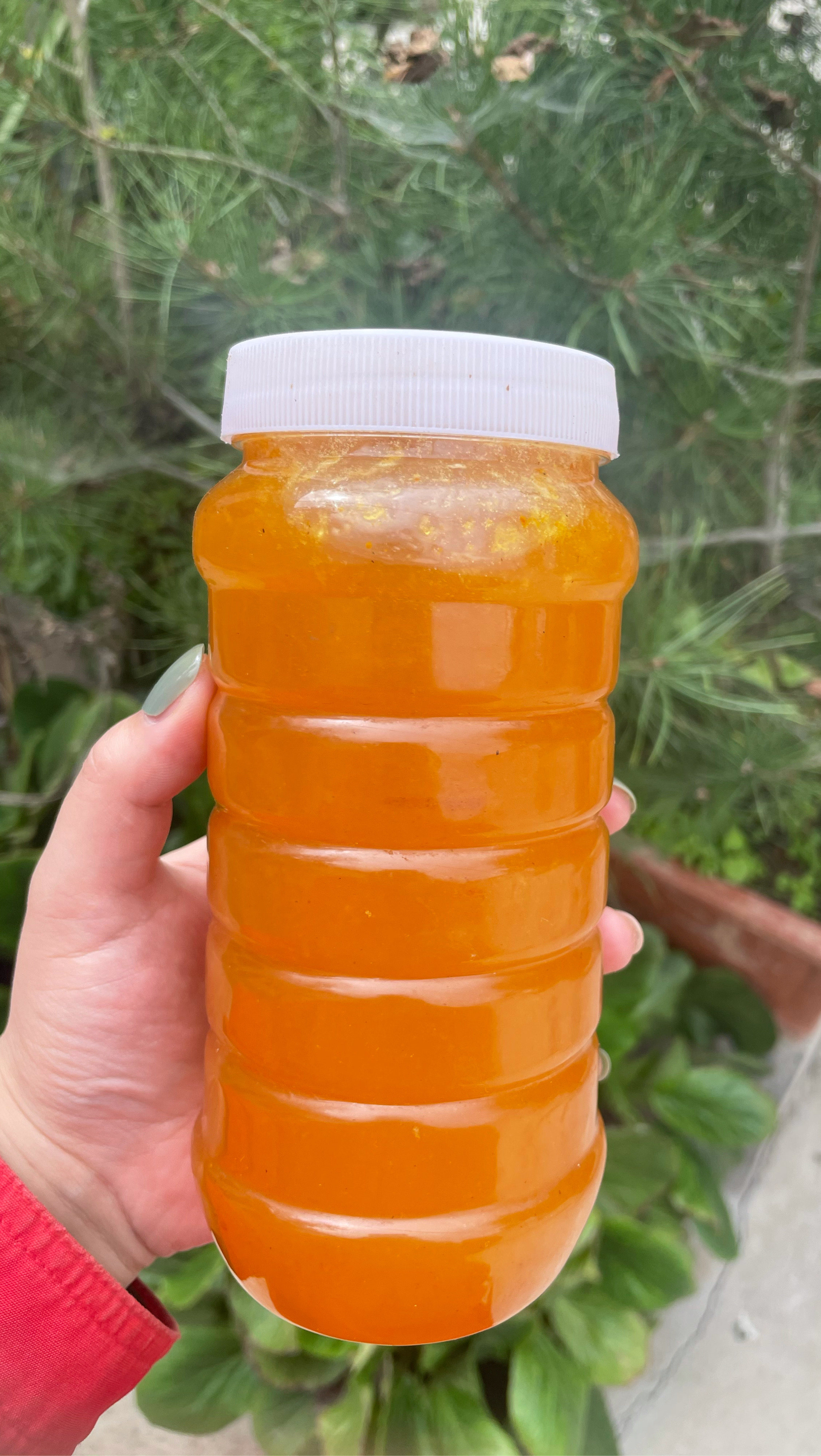 蜂蜜纯正天然农家自产野生百花蜜土蜂蜜纯峰蜜老蜂蜜