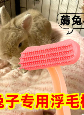 兔子梳子幼兔洗澡梳毛器宠物硅胶去浮毛刷龙猫荷兰猪兔子用品