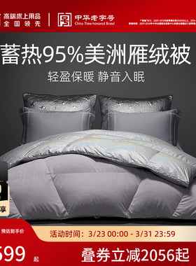 梦洁被子95羽绒被美洲雁A类抗菌保暖加厚被芯冬被特厚冬厚被春秋