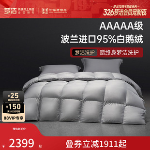 梦洁家纺白鹅绒被子波兰进口95绒子冬季 加厚保暖被芯空调被锁温