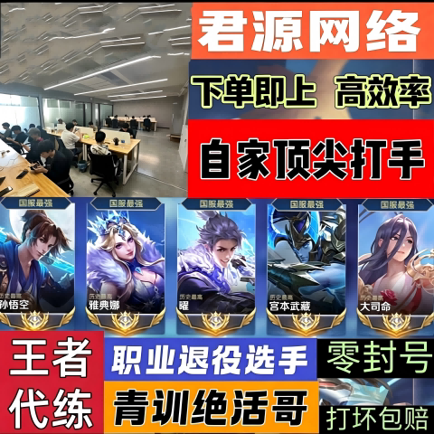 王者荣耀打段排位段位巅峰战力陪练手打价低上星分车队拿金标百星图片