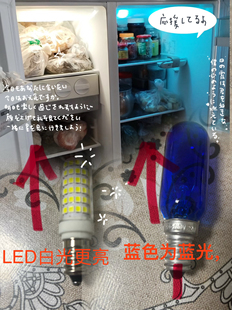 适用西门子博世冰箱电冰箱专用灯泡LED白光 冷藏冷冻蓝色灯泡照明