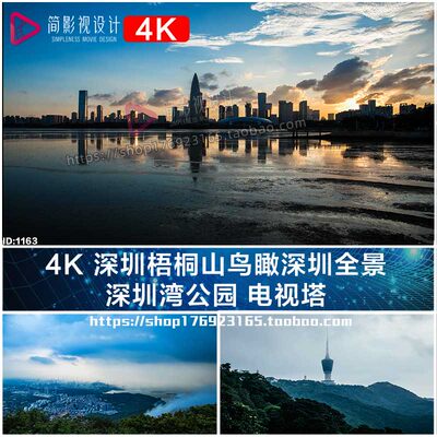 4K 深圳梧桐山鸟瞰深圳全景深圳湾公园 电视塔延时视频素材