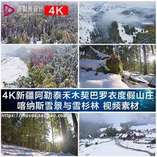4K新疆阿勒泰禾木契巴罗衣度假山庄 喀纳斯雪景与雪杉林 视频素材