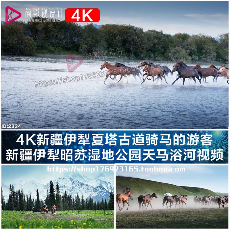 4K新疆伊犁夏塔古道骑马的游客新疆伊犁昭苏湿地公园天马浴河视频