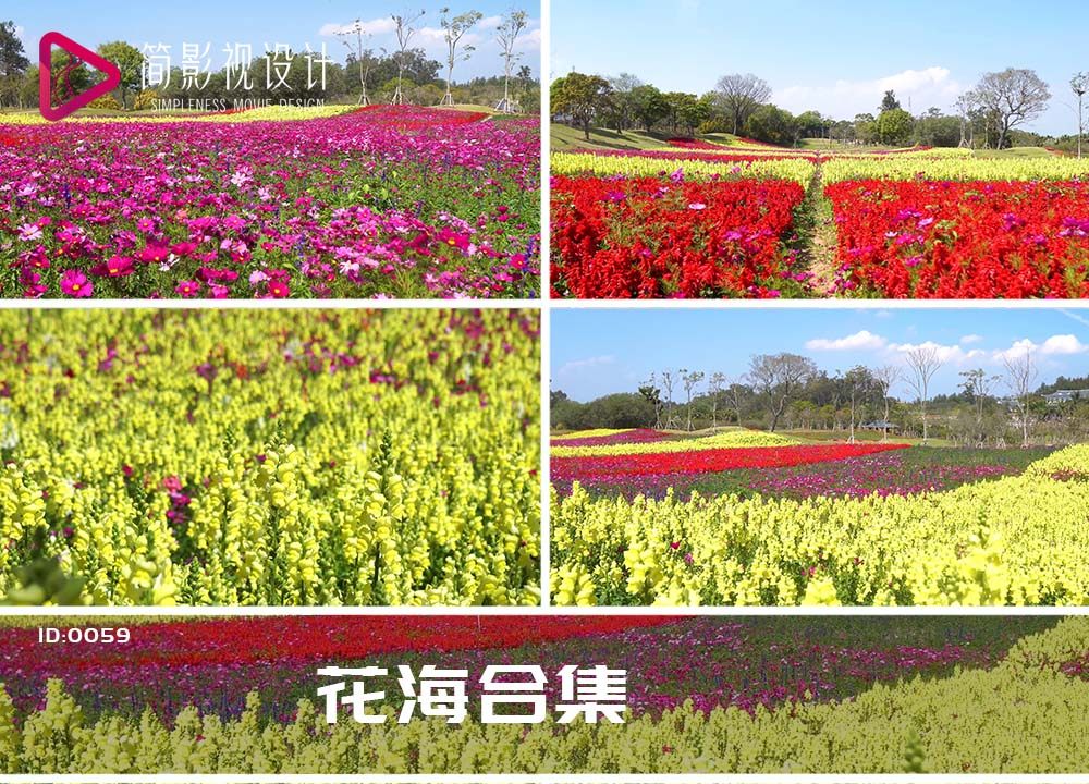 园林公园小清新穿暖花开花草小花视频素材唯美花海阳光视频素材