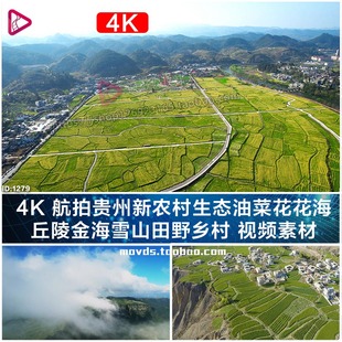 丘陵金海雪山田野乡村视频素材 航拍贵州新农村生态油菜花花海