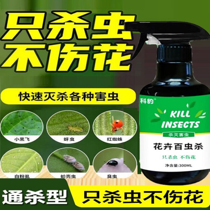花上的虫子药树虫药蜜密虫药 花药小白虫 杏树桂花树柠檬树杀虫剂