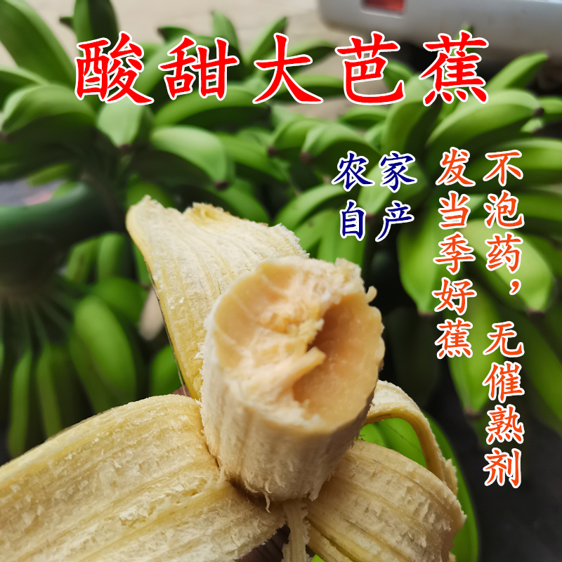 广西大芭蕉新鲜香蕉 5-10斤包邮 大蕉酸甜大芭蕉巴蕉牛蕉无催熟剂