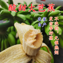 酸甜大芭蕉巴蕉牛蕉无催熟剂 包邮 9斤净重 广西大蕉大芭蕉新鲜香蕉