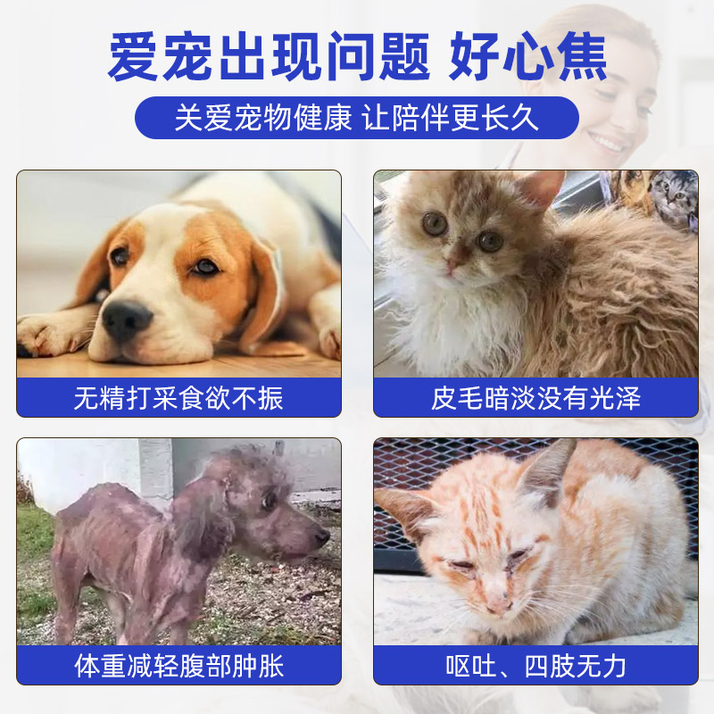 胆汁酸宠物猫咪狗狗保肝护胆