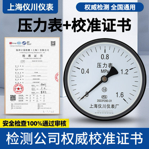 上海仪川仪表厂轴向带边压力表