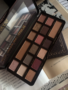 Essence眼影盘铁盒超火出口迪拜珠光闪粉防水哑光南瓜系大地色feb