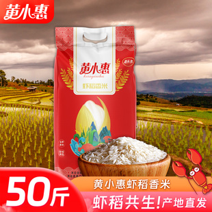黄小惠虾稻香米50斤湖北江汉大米2024新米虾田香稻米软香贡米25kg