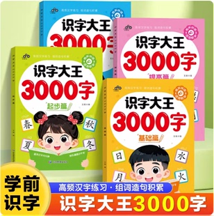 幼儿认字识字大王3000字幼儿园学前班宝宝Y17 下单立减50