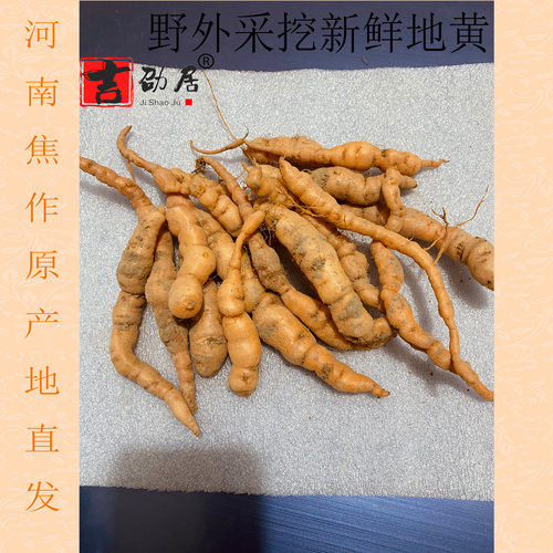 河南焦作怀生地干山野自然生长鲜
