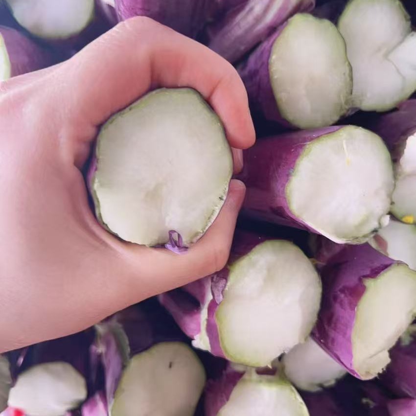 湖北特产洪山菜薹高档礼盒装原产地现摘现发新鲜恩施腊肉洪山菜苔