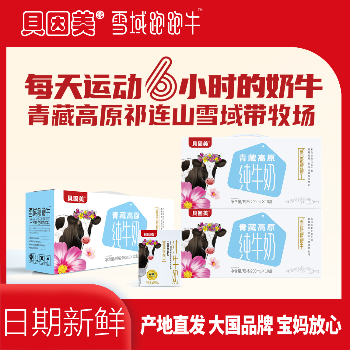 25年6月产贝因美雪域纯奶200g*10盒*3提生牛乳早餐营养高原牛奶