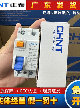 正泰110V美标漏电断路器日本菲律宾2P漏电单相过载短路保护开关CE