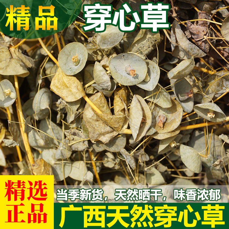 正品穿心草中药材干品顶心风串钱草狮子草农家自晒无硫干货中草药