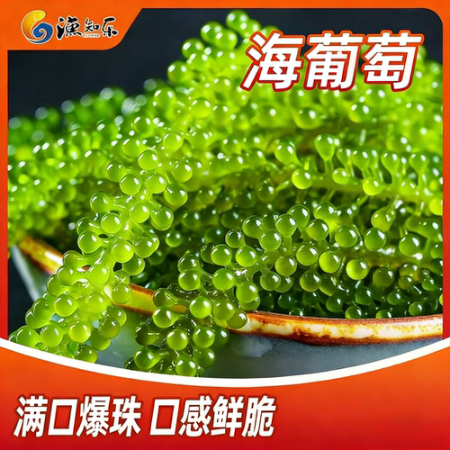 渔知乐即食盐渍海葡萄网红凉拌菜