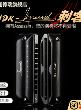 JDR嘉德瑞Assassin刺客布鲁斯蓝调十孔口琴10孔C调专业演奏paddy