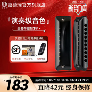 JDR嘉德瑞布鲁斯蓝调十孔口琴10孔C调忍者初学者入门专业paddy