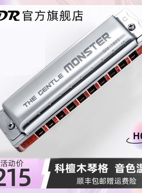 JDR嘉德瑞布鲁斯口琴十孔蓝调GM-1920专业演奏级旗舰店paddy音阶