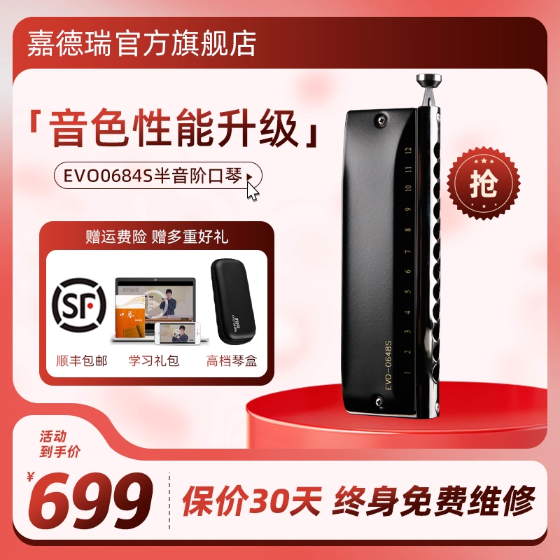嘉德瑞0648S12孔专业半音阶口琴