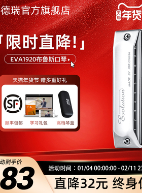 JDR十孔布鲁斯口琴蓝调铝琴格EVA-1920演奏级10孔初学者paddy音阶