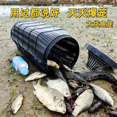 2026大型超大鱼笼捕鱼网捕鱼笼龙虾网笼捕虾网黄鳝泥鳅抓螃蟹渔网