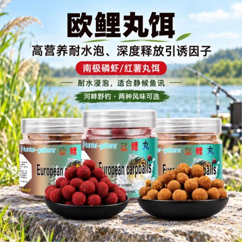 欧鲤黑坑野钓鲤鱼挂钩即用丸饵