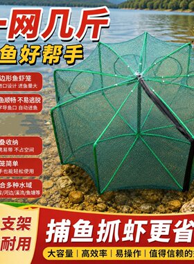 多边形折叠可伸缩黄鳝虾笼