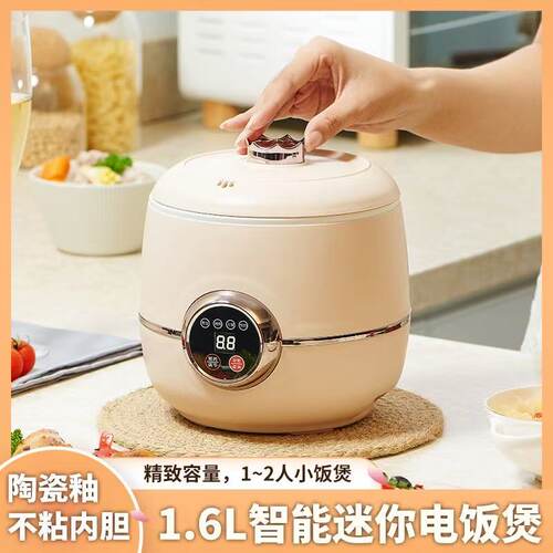 110v伏电饭煲电煮锅美国日本巴西