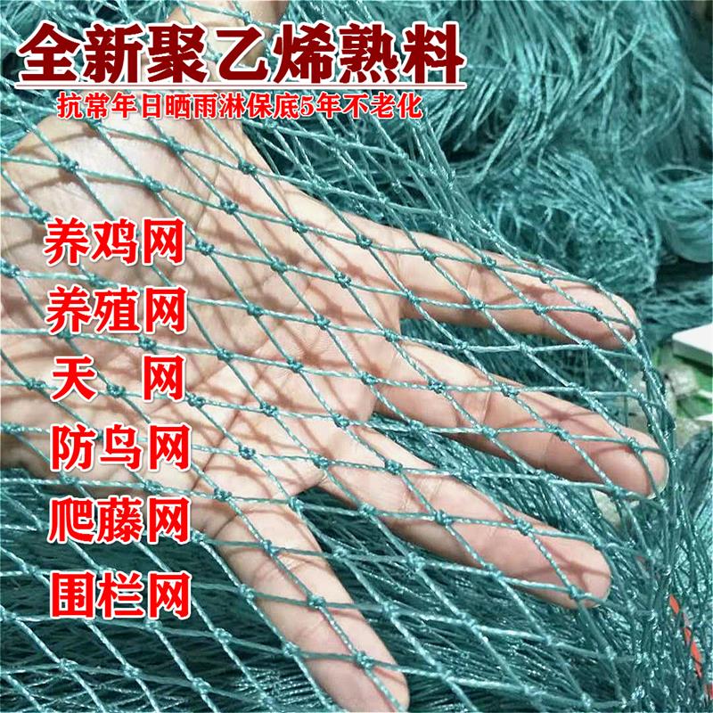 尼龙网防鸟养鸡网养殖防护球场围其它园艺用品