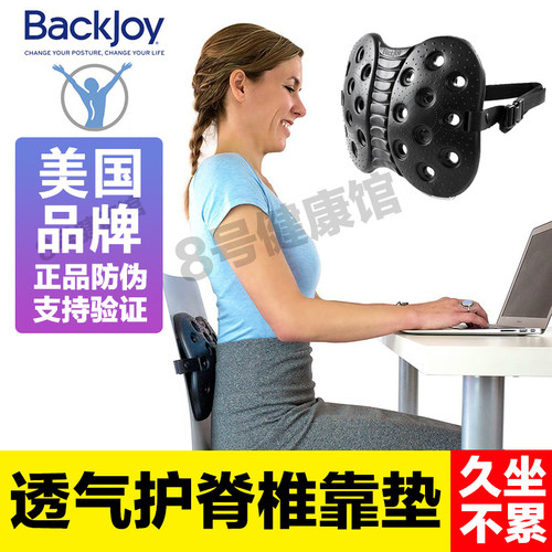 美国汽车办公室四季透气腰靠垫