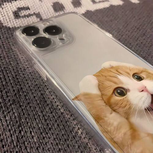 讶小猫透明用苹xmx通1pr