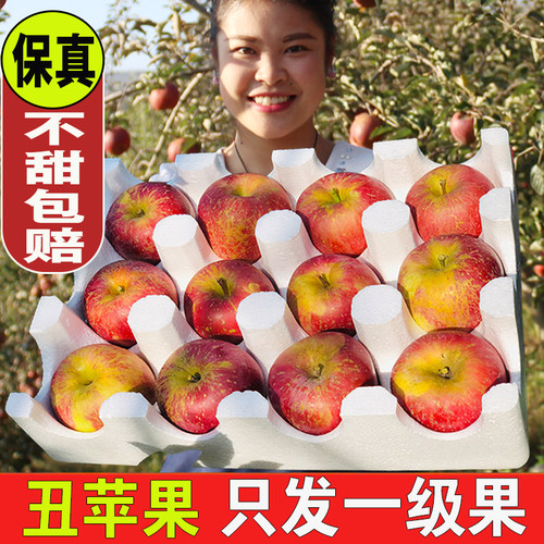 冰糖心丑苹果昭通直发2024年新果