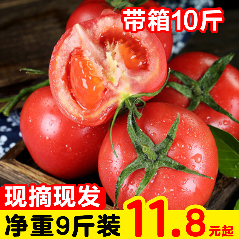露天水果大西红柿沙瓤带箱10斤新鲜蔬菜农家小番茄5纯天然自然熟