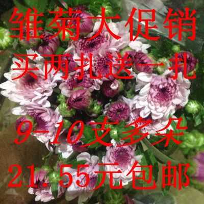 ³û¾ÕËÙµÝ Âò2ÔùÒ» ¼ÒÍ¥°ÙºÏ»¨·ÛÉ«1Ôú°üÓʱ±¾©ÉòÑôÌì½òɽ¶«Óá