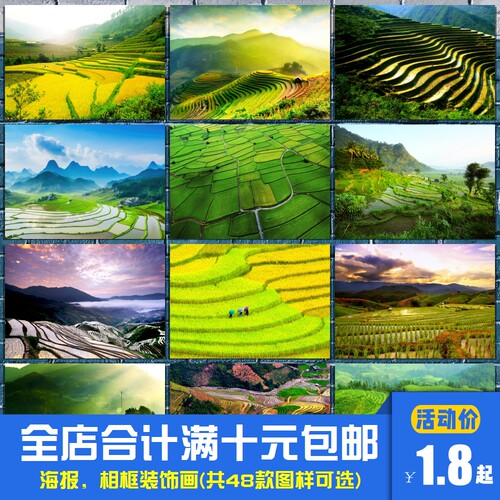 梯田 田园风光风景聚财海报装饰画店铺办公室客厅相框墙画挂画