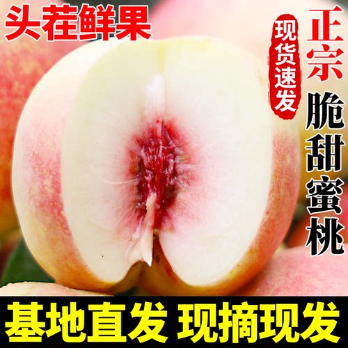 现货速发新鲜脆桃子毛桃新鲜水果