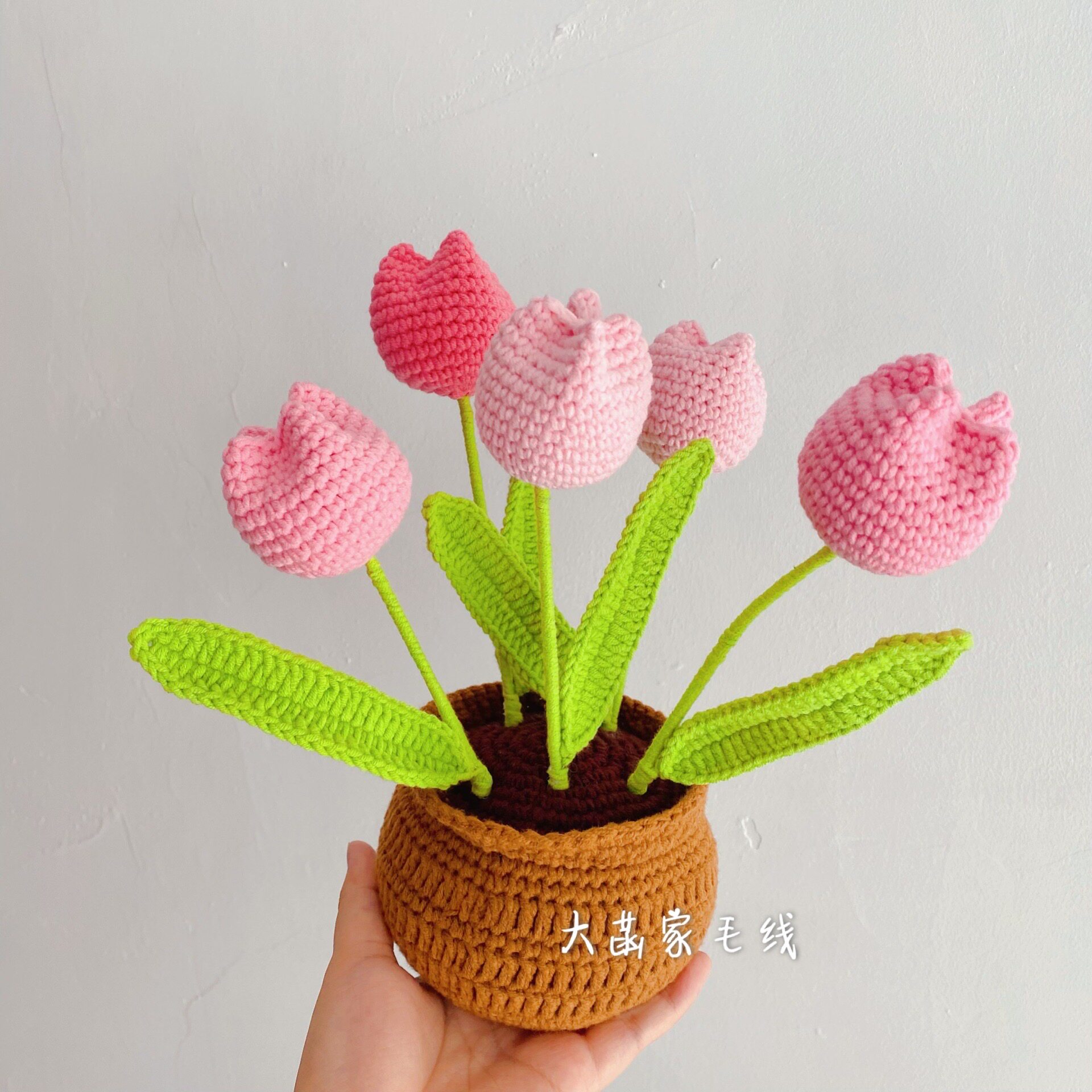 大菡家毛线 郁金香盆栽摆件 钩针编织花朵花束新手diy手工材料包