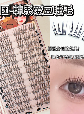 韩系女团爱豆ACE假睫毛太阳花卷翘三部曲自然分段单簇眼睫毛自粘